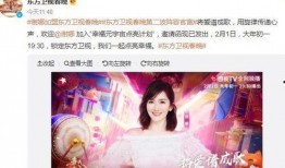 谢娜爆料录音视频播放下载,揭秘娱乐圈幕后故事