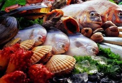 海鲜工厂爆料视频大全集,爆料视频大全集深度解析