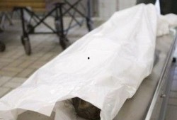 太平间真实爆料事件视频,真实爆料事件视频背后的惊人真相