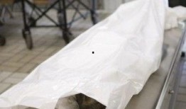 太平间真实爆料事件视频,真实爆料事件视频背后的惊人真相
