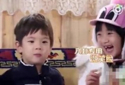 娱乐八卦吃瓜网,吃瓜网带你探秘明星幕后故事