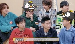 娱乐吃瓜小组,揭秘娱乐圈幕后故事，带你领略明星们的真实生活