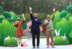 迷蝶岛最新爆料消息视频