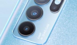 迷蝶岛最新爆料消息视频