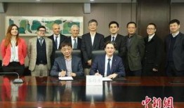 浦东金桥新闻爆料,聚焦发展新篇章
