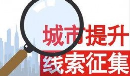 今日个线爆料电话,今日热线爆料电话背后的惊人真相