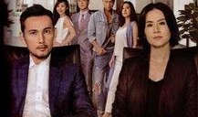 不懂撒娇的女人在线观看,解锁情感密码，探寻现代女性魅力