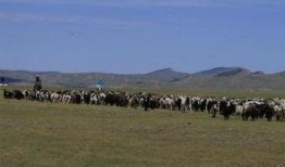 新闻爆料牧羊人视频大全,视频大全揭秘