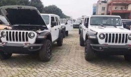 新闻爆料牧羊人视频大全,视频大全揭秘