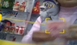 街边爆料视频大全集下载,街头奇闻轶事一网打尽