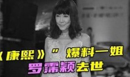 康熙爆料一姐视频播放全集,揭秘视频全集背后的惊人真相