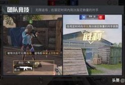 和平精英爆料小视频大全,揭秘游戏新内容与精彩瞬间