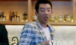 孙俪爆料郑凯视频大全集,揭秘娱乐圈背后的真相