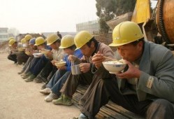 农民老张最新爆料,农村新动向背后的惊人真相