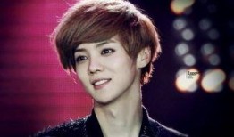 业内人士爆料鹿晗视频,业内揭秘背后真相