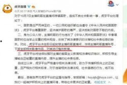 缅甸北部高管爆料视频,权力斗争与民生困境