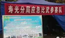 寿光爆料新闻最新消息,突发事件引发关注，详情即将揭晓