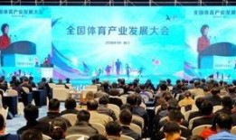 厦门体育爆料最新消息,独家爆料揭示赛场幕后故事