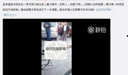 石家庄最新爆料新闻,揭秘某重大事件背后真相