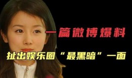 娱乐圈黑暗爆料,揭秘幕后真相与利益纠葛