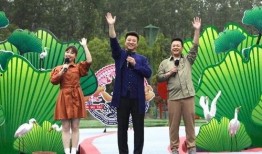 云南中药材最新爆料视频,揭秘神秘药草宝藏