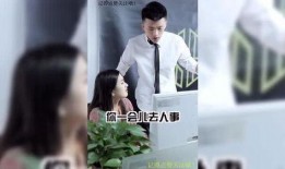 好东西爆料视频大全集,揭秘热门好物，带你领略科技与生活的完美融合