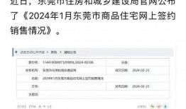 网络爆料东莞最新消息,聚焦城市动态与热点事件