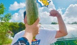 网红吃瓜的视频免费看