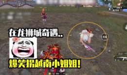 龙狮城最新爆料,揭秘神秘爆料背后的精彩故事