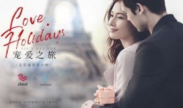 爱之旅在线观看,一场跨越时空的浪漫邂逅