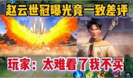 赵云世冠爆料视频,揭秘游戏幕后故事与精彩瞬间