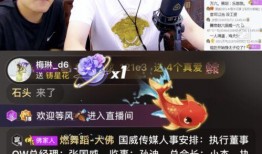 随心哥爆料视频大全,揭秘娱乐圈幕后真相
