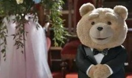 天涯爆料泰迪视频大全,泰迪萌宠视频大全，萌态百出，笑料连连