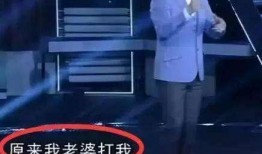 王自健出轨爆料新闻,娱乐圈再掀波澜，真相究竟如何？