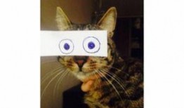 雪兔子爆料视频,幕后真相大起底