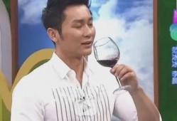 李晨爆料李四最新视频播放,播放量惊人！