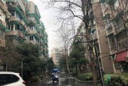 九龙小区爆料视频最新版,惊人真相曝光！