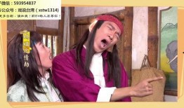 戏说台湾电视剧全集在线观看