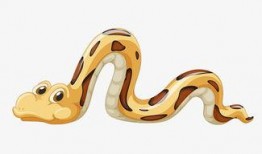 花蛇动漫在线观看