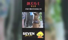 深林露营爆料视频大全集,全景式视频大全集带你领略户外探险魅力