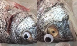 鱼鱼爆料视频大全,揭秘娱乐圈幕后故事