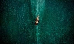 海洋深处在线观看,跟随海洋深处在线探索未知海洋奇观