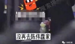 狗仔爆料陈伟霆视频大全,陈伟霆视频大全幕后故事